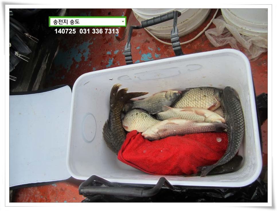 IMG_0017.JPG copy.jpg