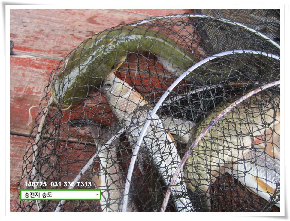 IMG_0027.JPG copy.jpg