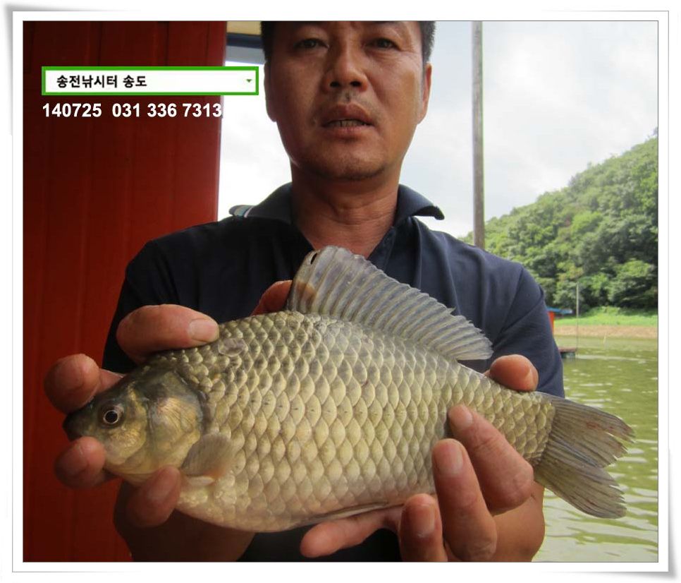 IMG_0030.JPG copy.jpg