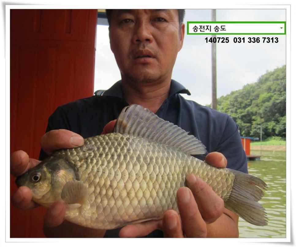 IMG_0031.JPG copy.jpg