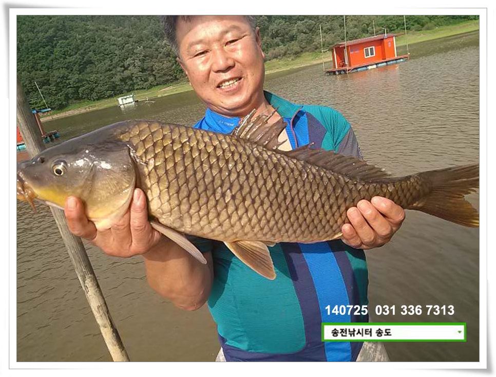 IMG_0165.JPG copy.jpg