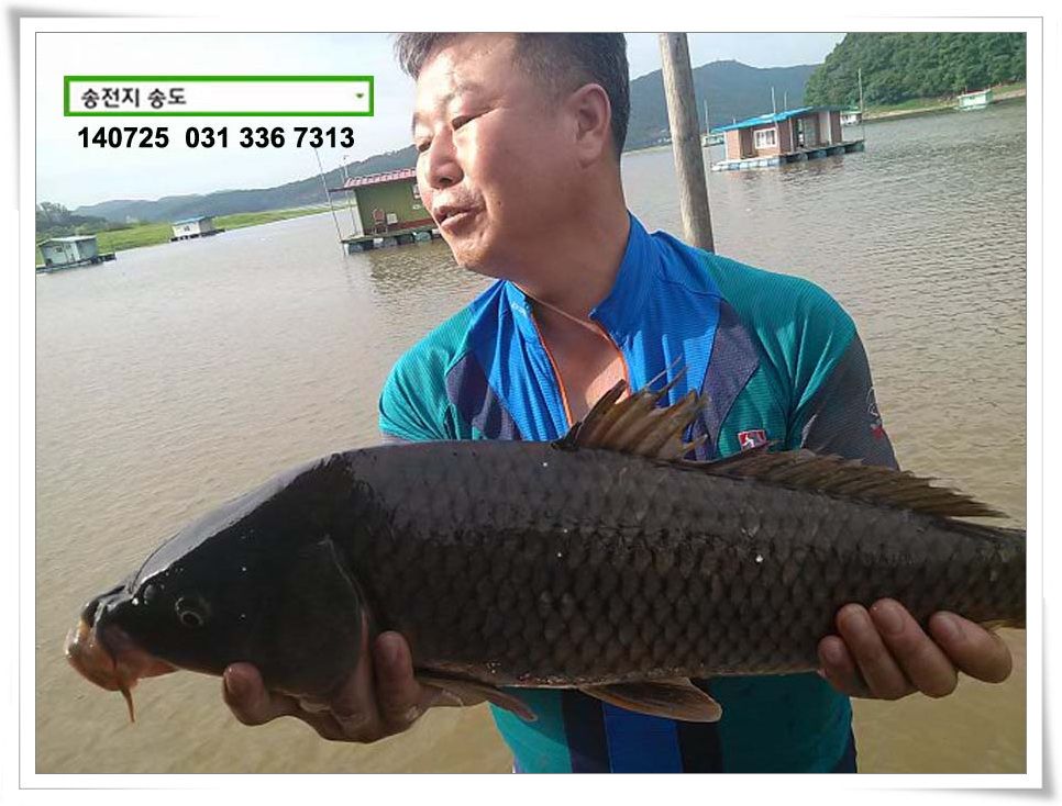 IMG_0166.JPG copy.jpg