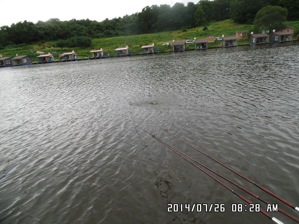 SAM_1151.JPG
