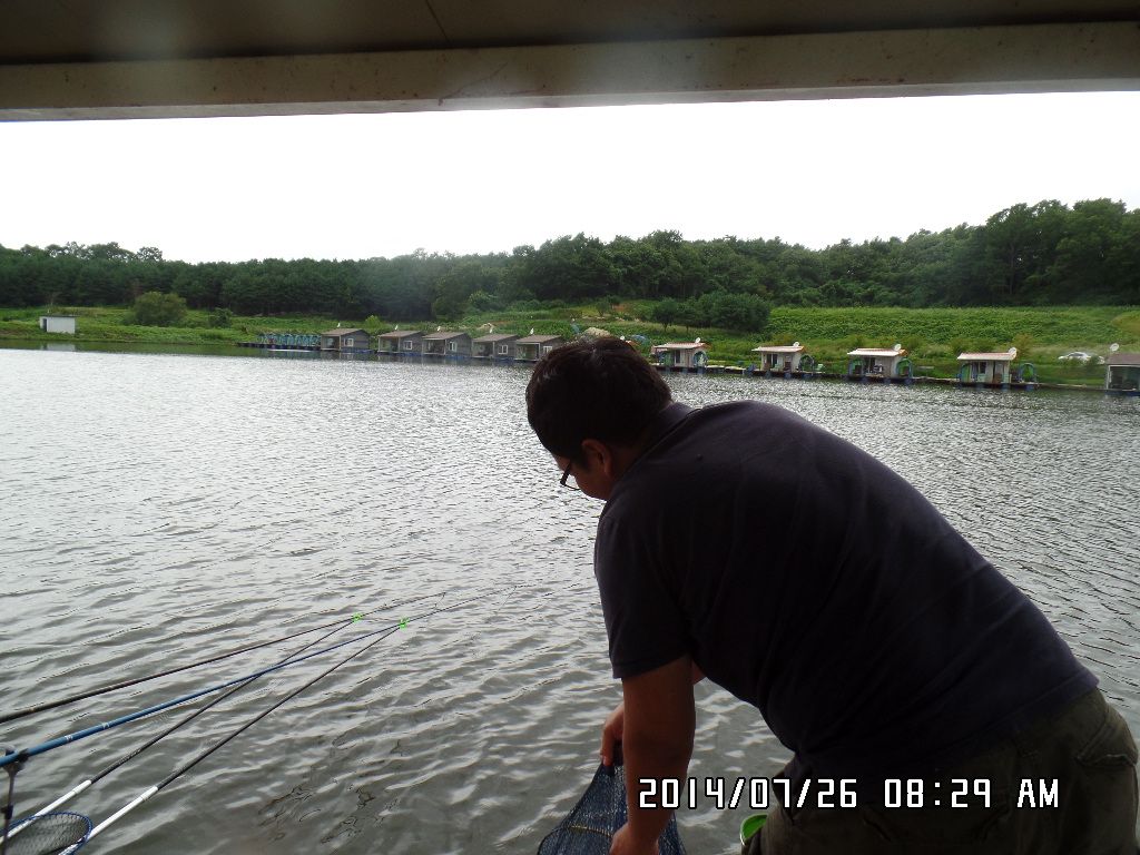 SAM_1154.JPG