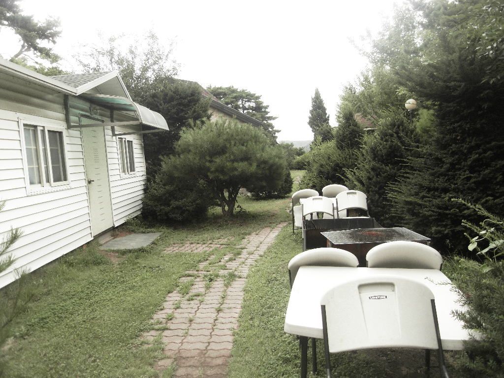 SDC10179.JPG