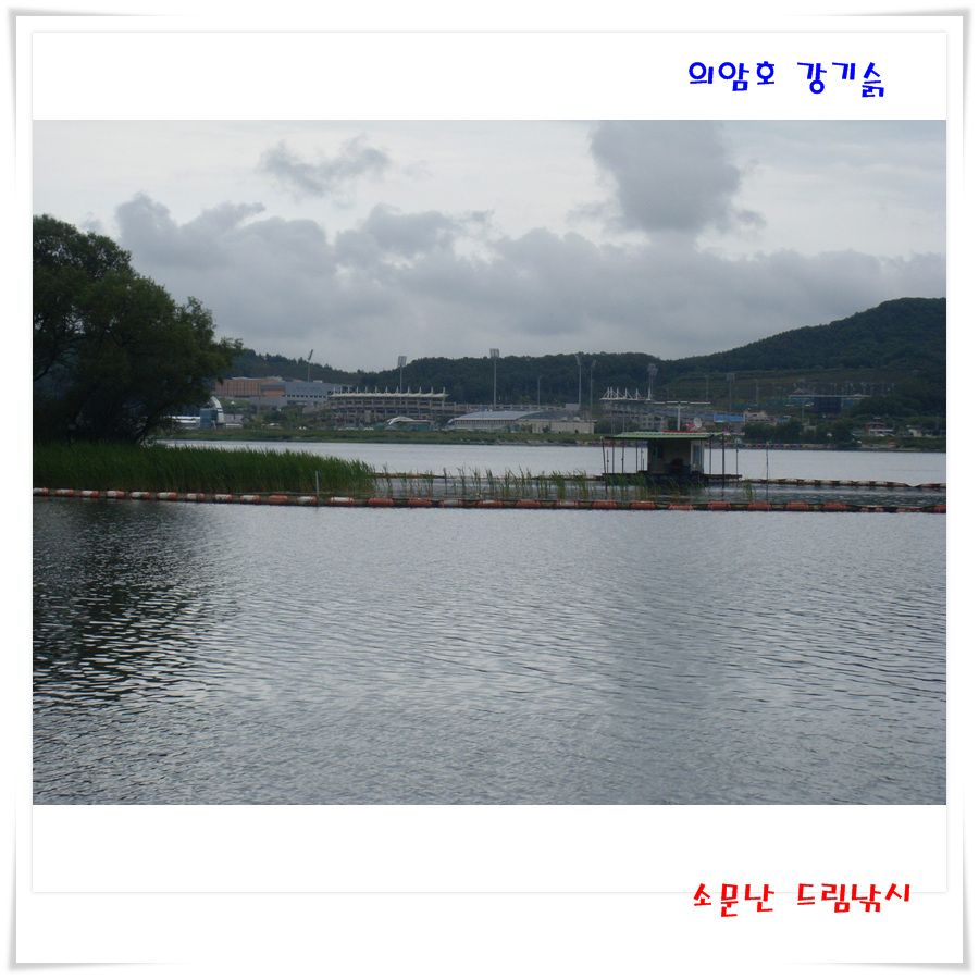 SL382890.jpg