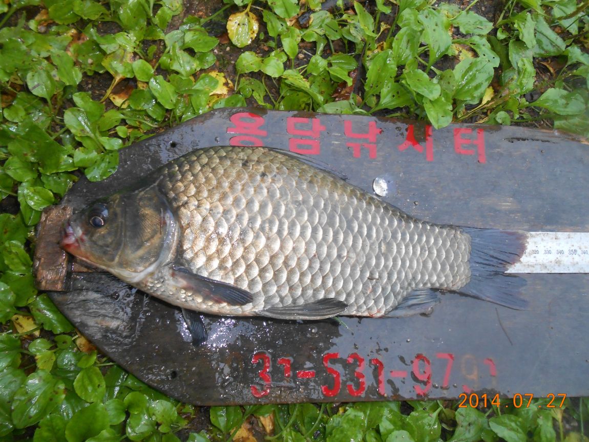 DSCN2005.JPG