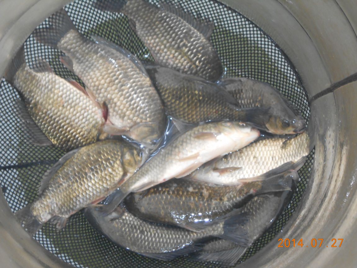 DSCN2026.JPG