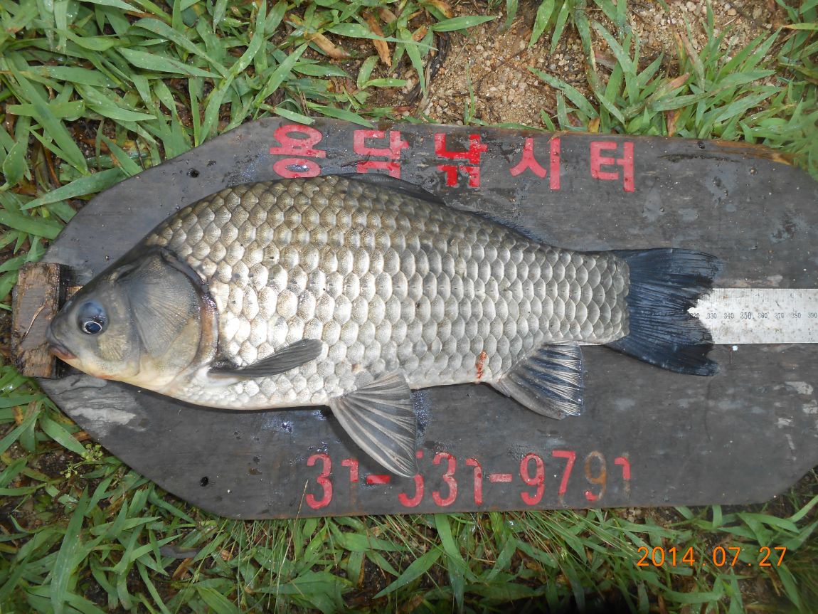DSCN2028.JPG