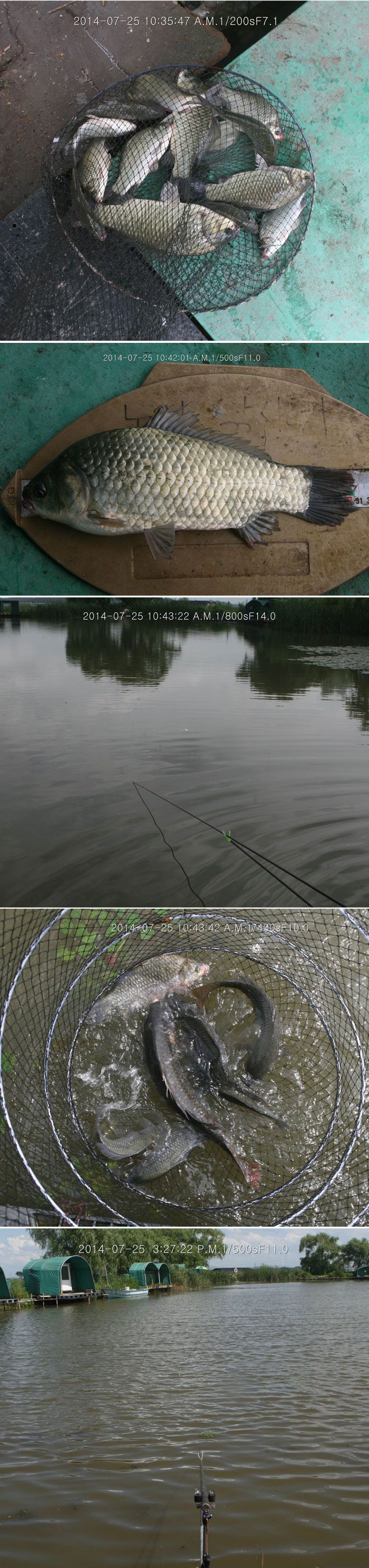 140727-09.jpg