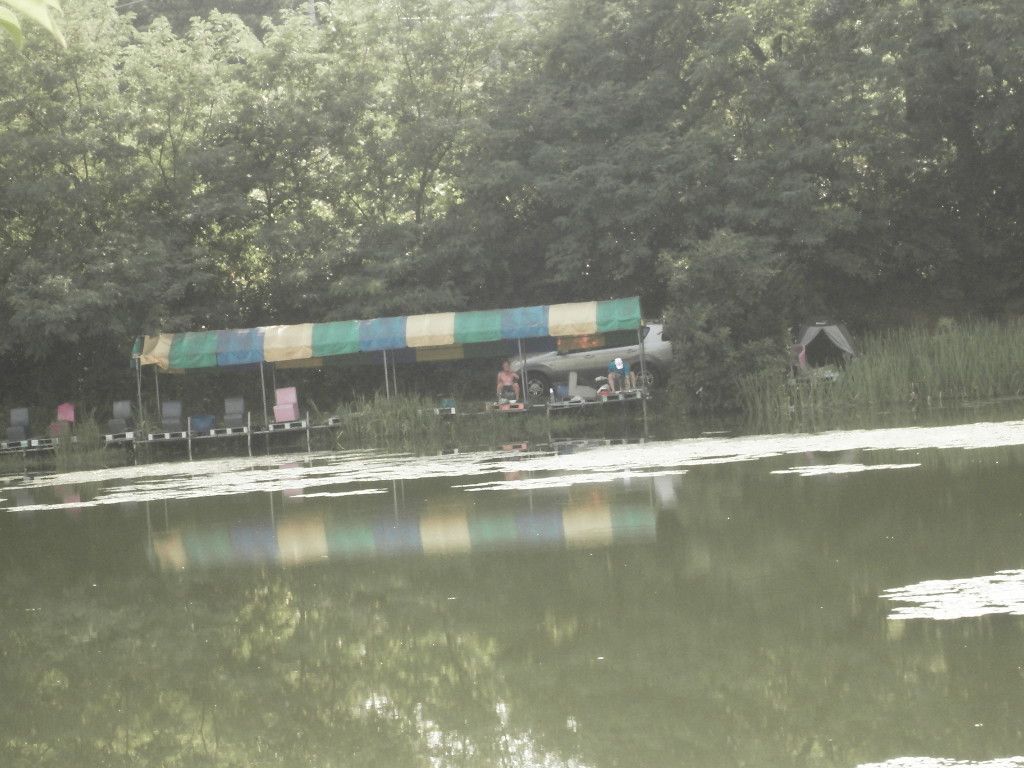 SDC10206.JPG