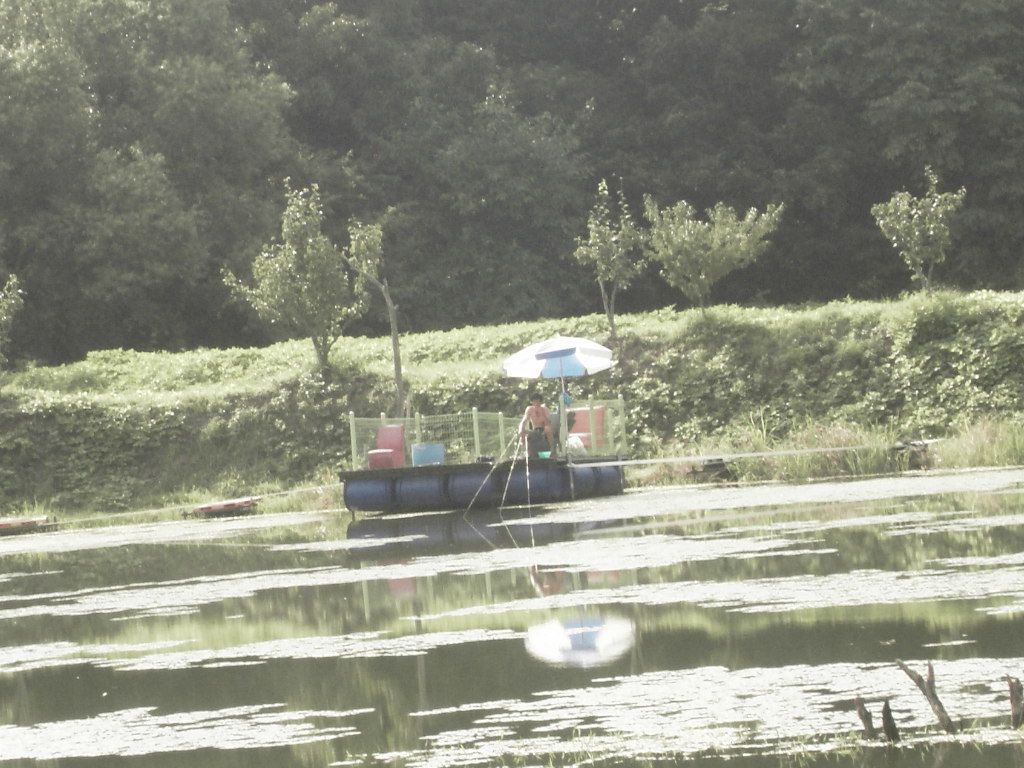 SDC10207.JPG