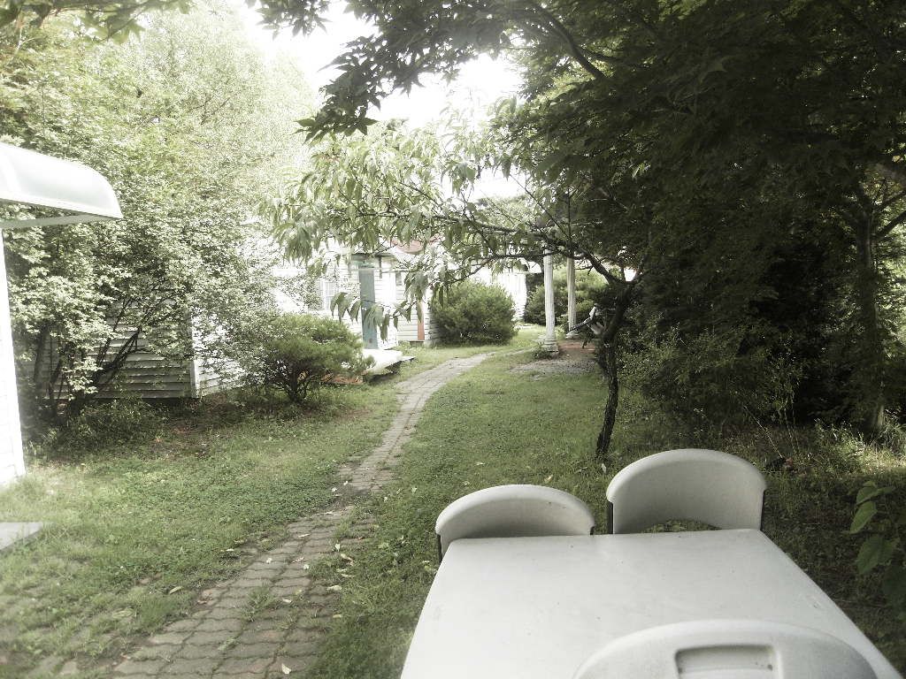 SDC10209.JPG