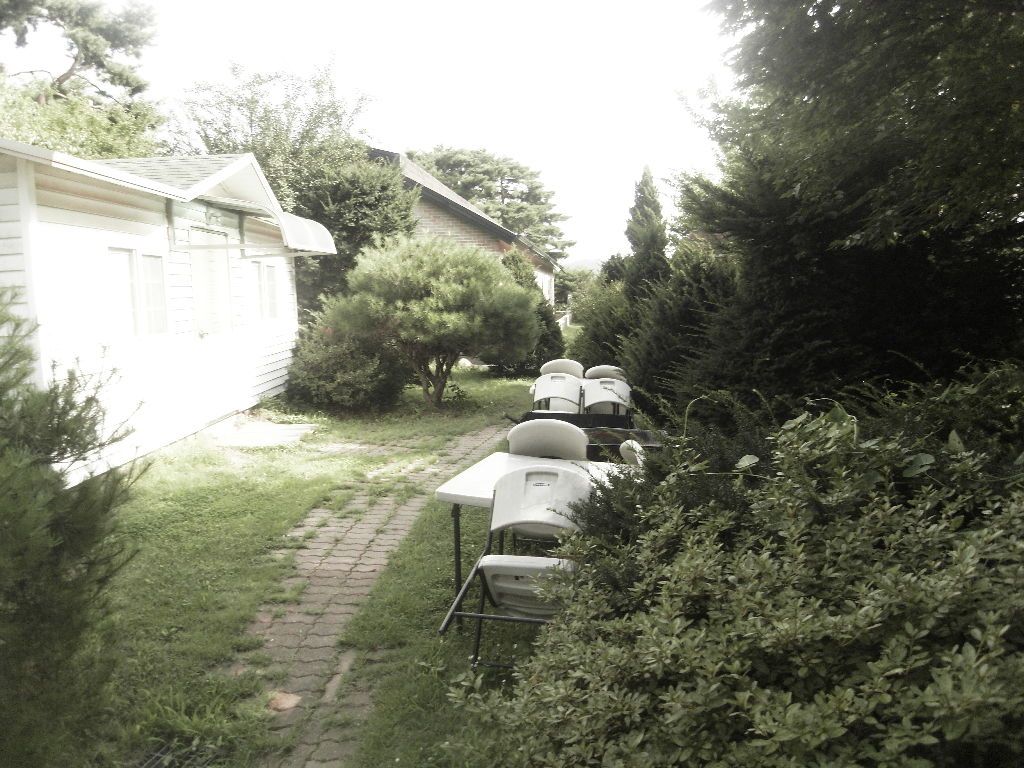 SDC10211.JPG