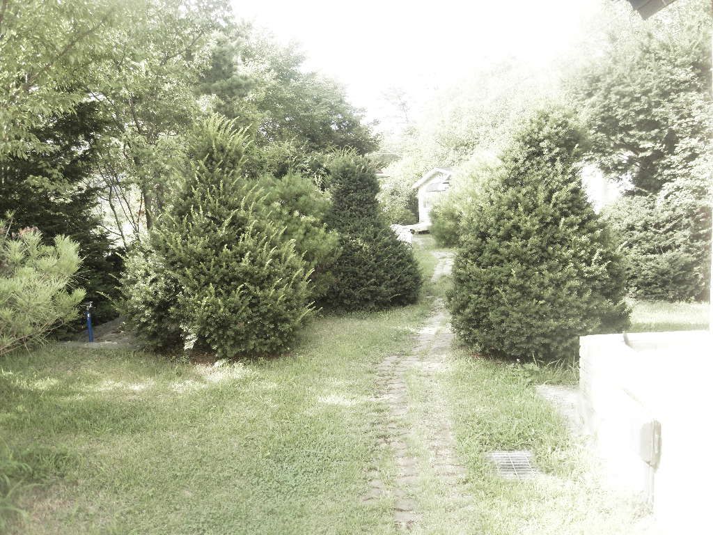 SDC10213.JPG