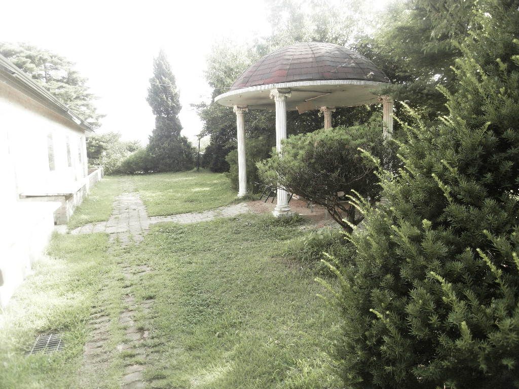 SDC10214.JPG