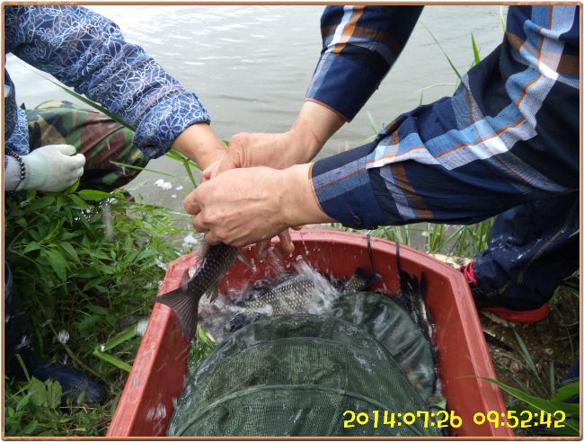 �ٹ̱�_DSC02408.JPG