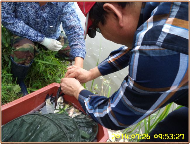 �ٹ̱�_DSC02412.JPG