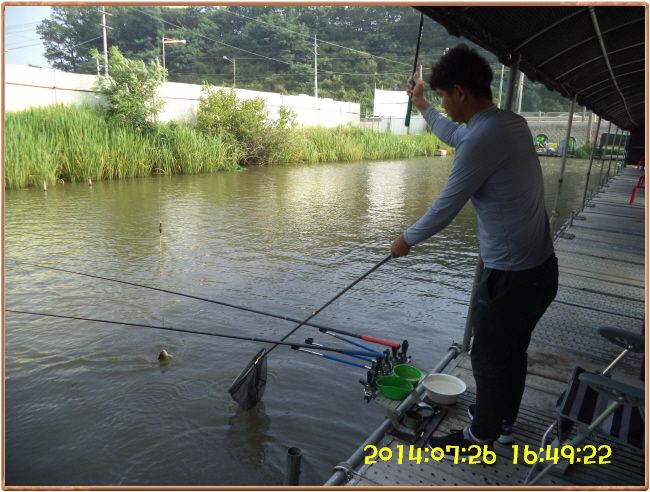 �ٹ̱�_DSC02422.JPG