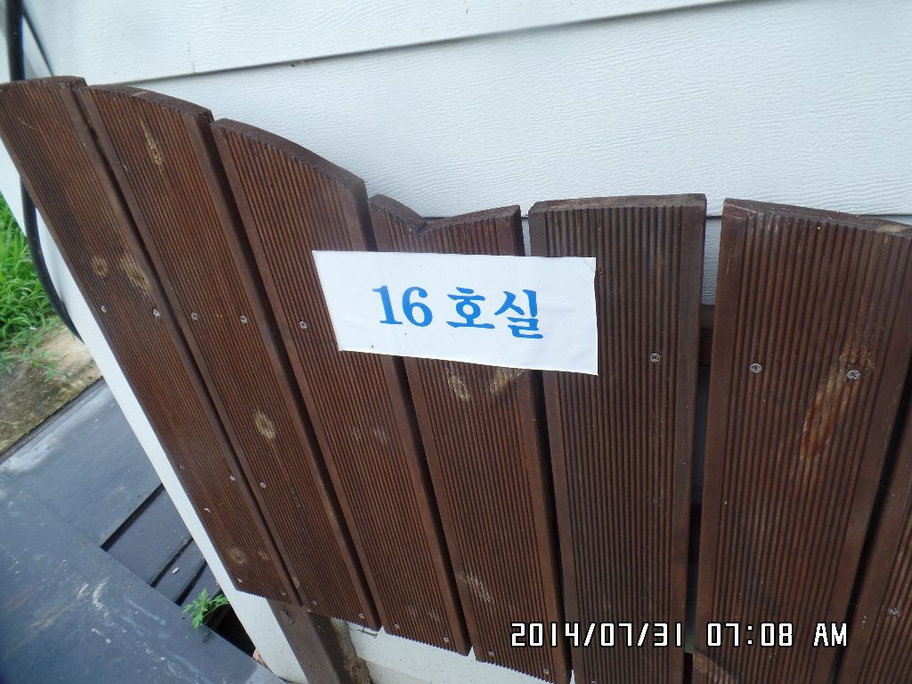 SAM_1241.JPG