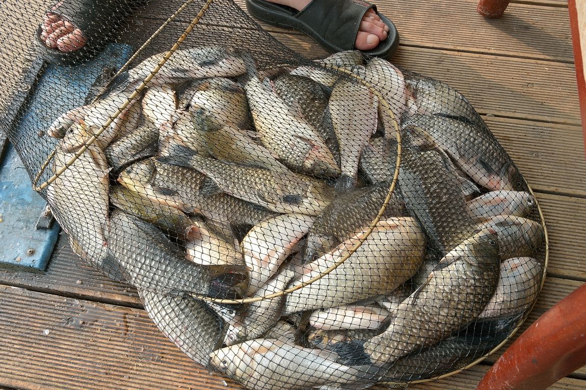 1406460740_6076.jpg