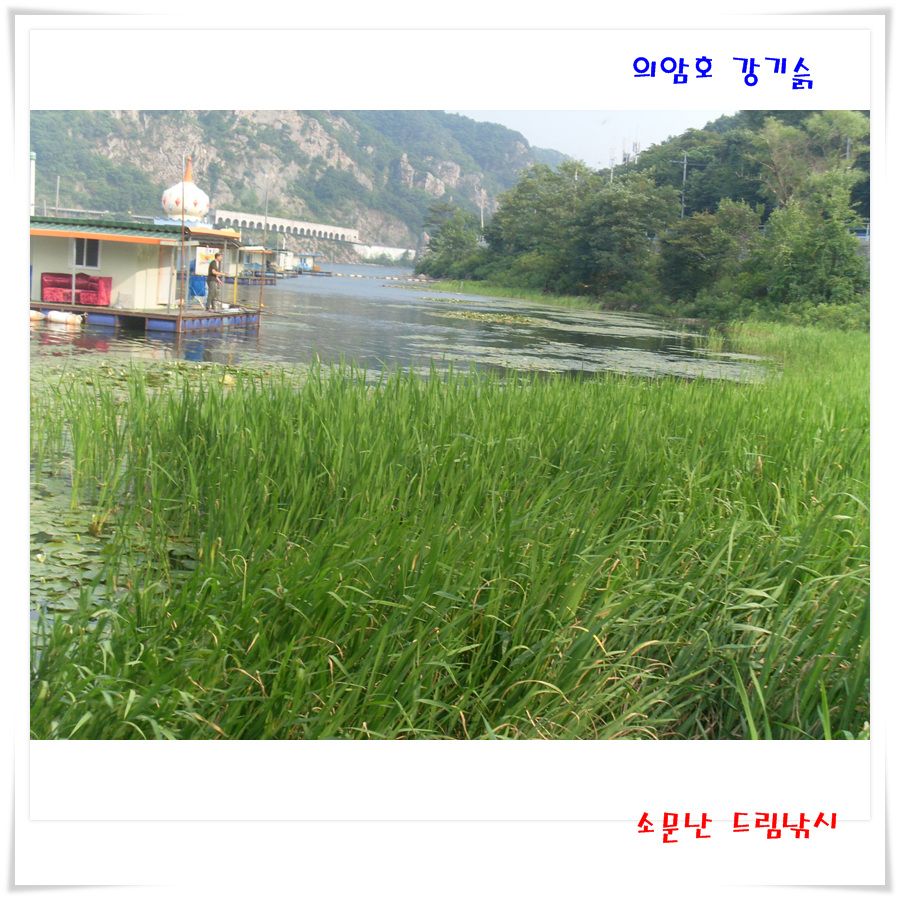 SL382770.jpg