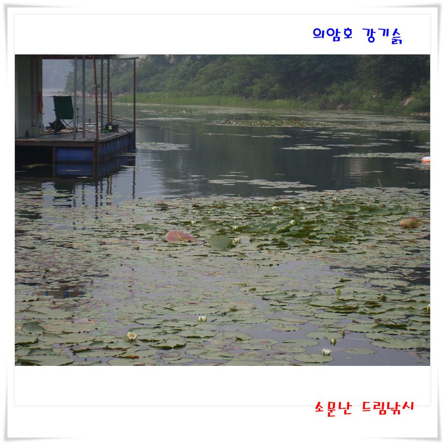 SL382793.jpg