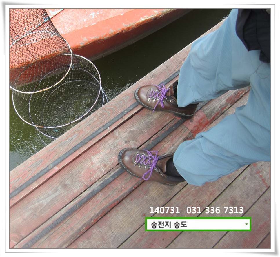 IMG_0001.JPG copy.jpg