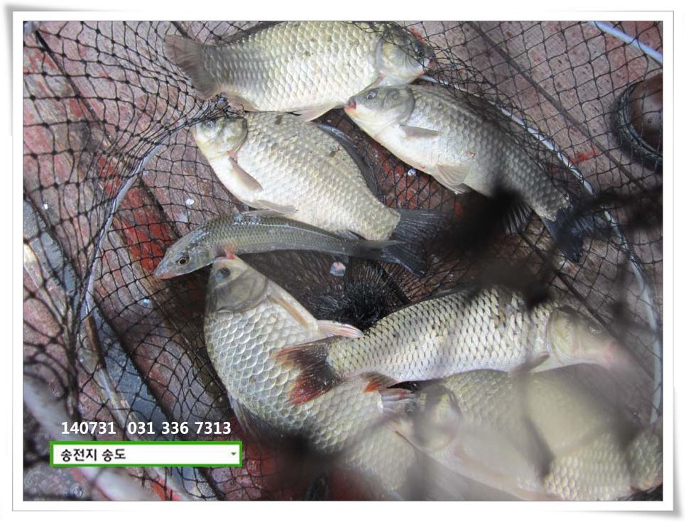 IMG_0007.JPG copy.jpg