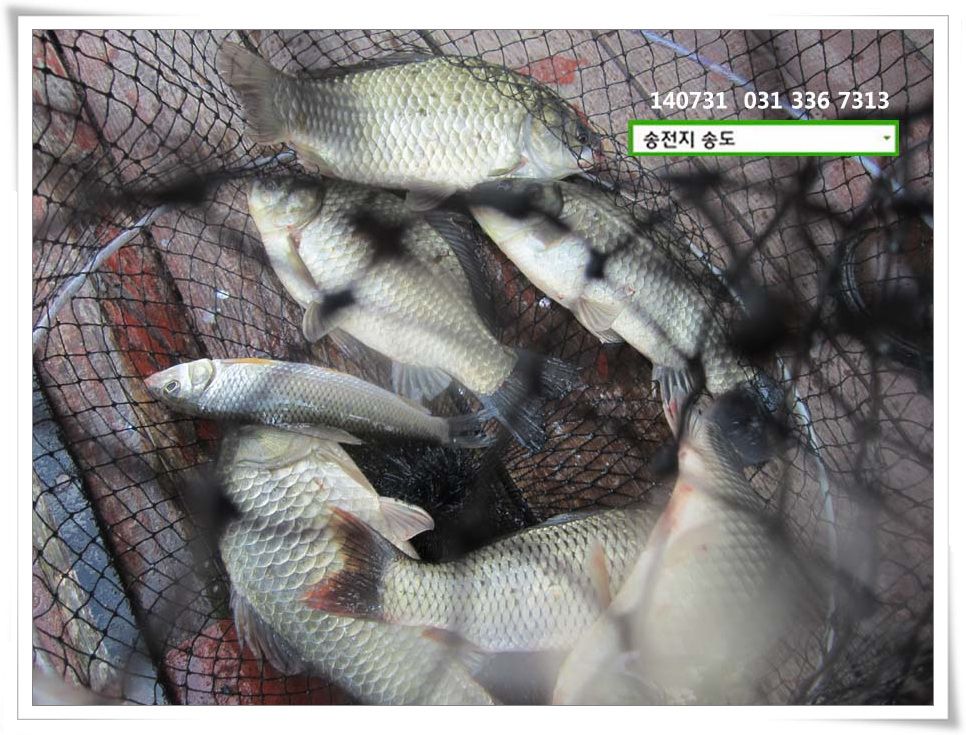 IMG_0006.JPG copy.jpg