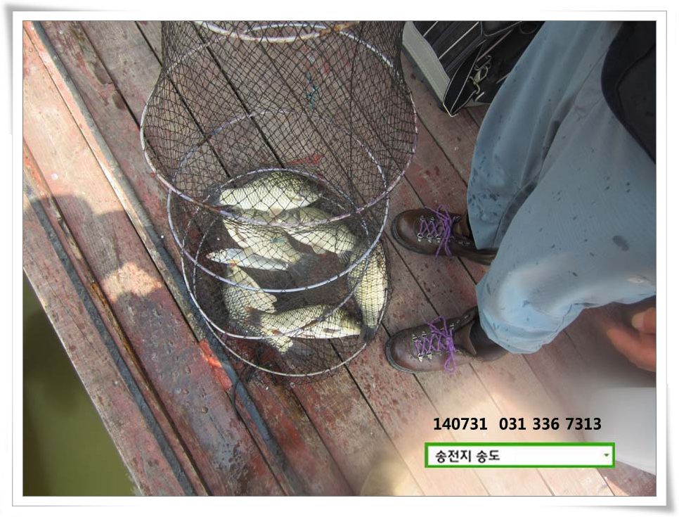 IMG_0011.JPG copy.jpg