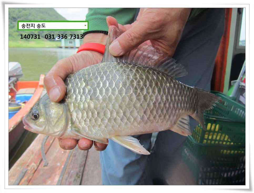 IMG_0012.JPG copy.jpg