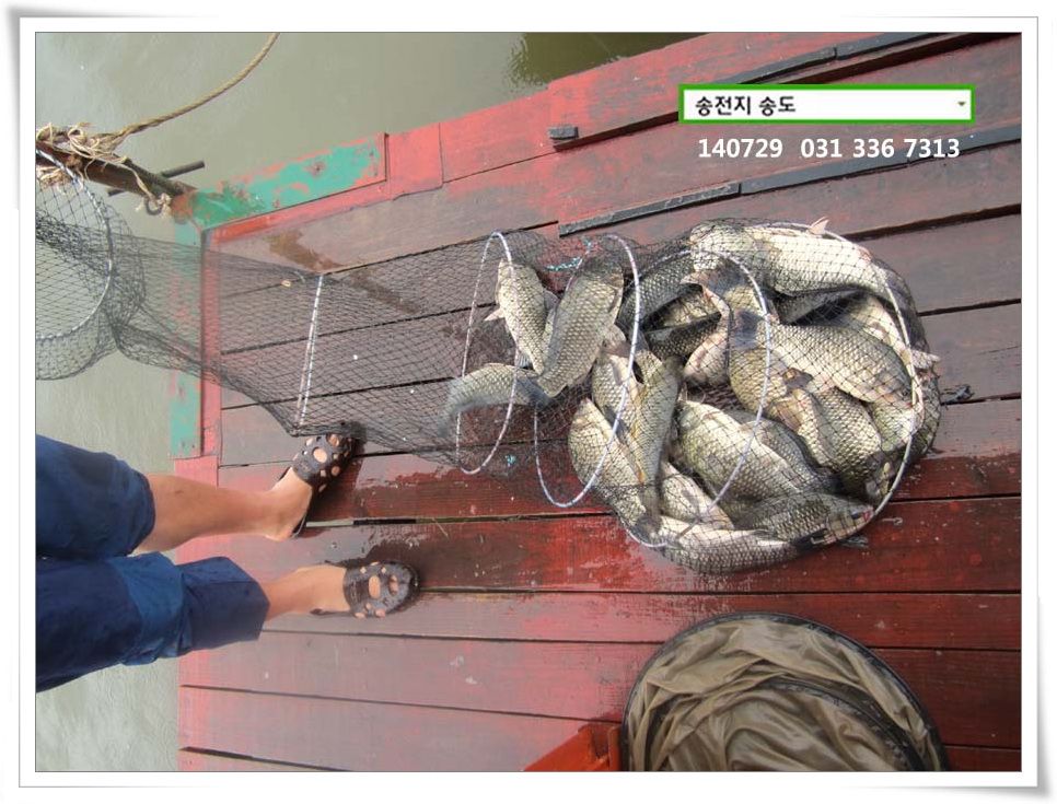 IMG_0001.JPG copy.jpg