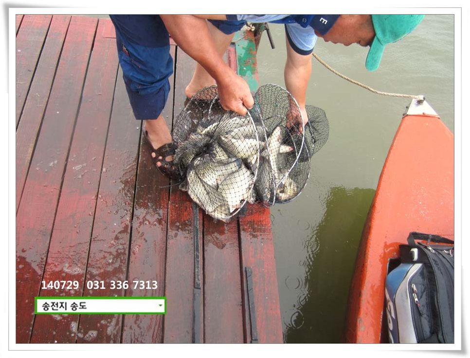 IMG_0013.JPG copy.jpg