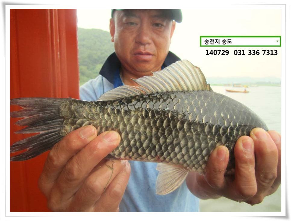 IMG_0007.JPG copy.jpg