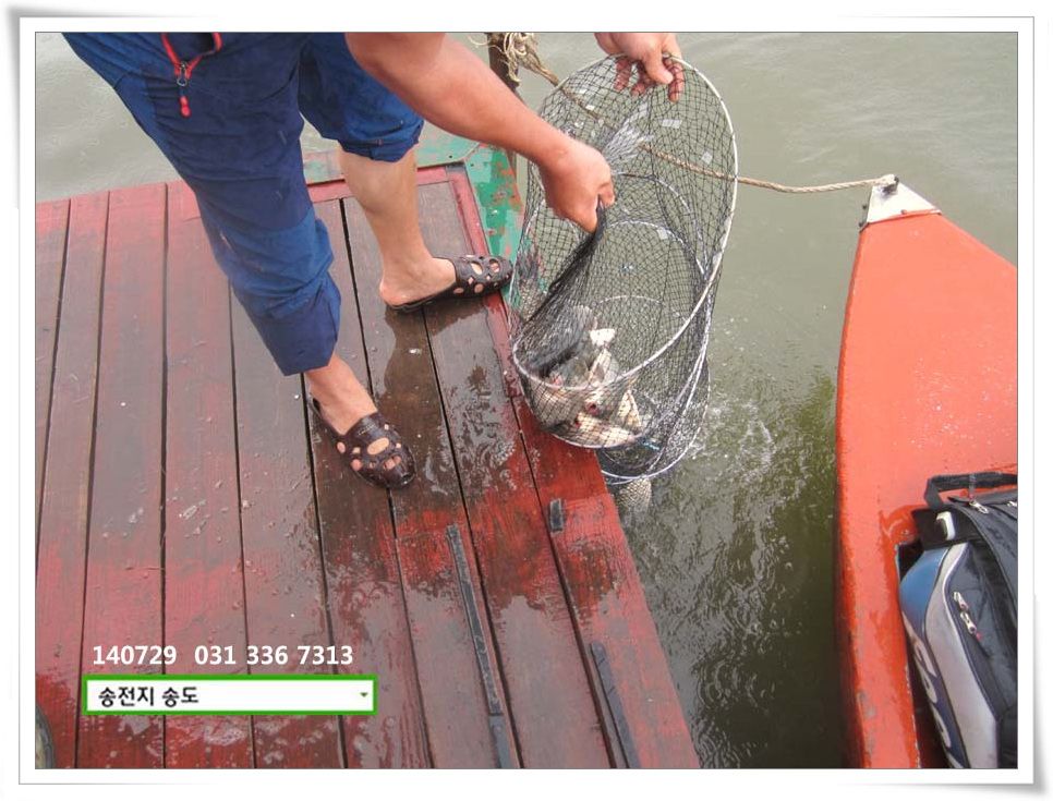 IMG_0014.JPG copy.jpg