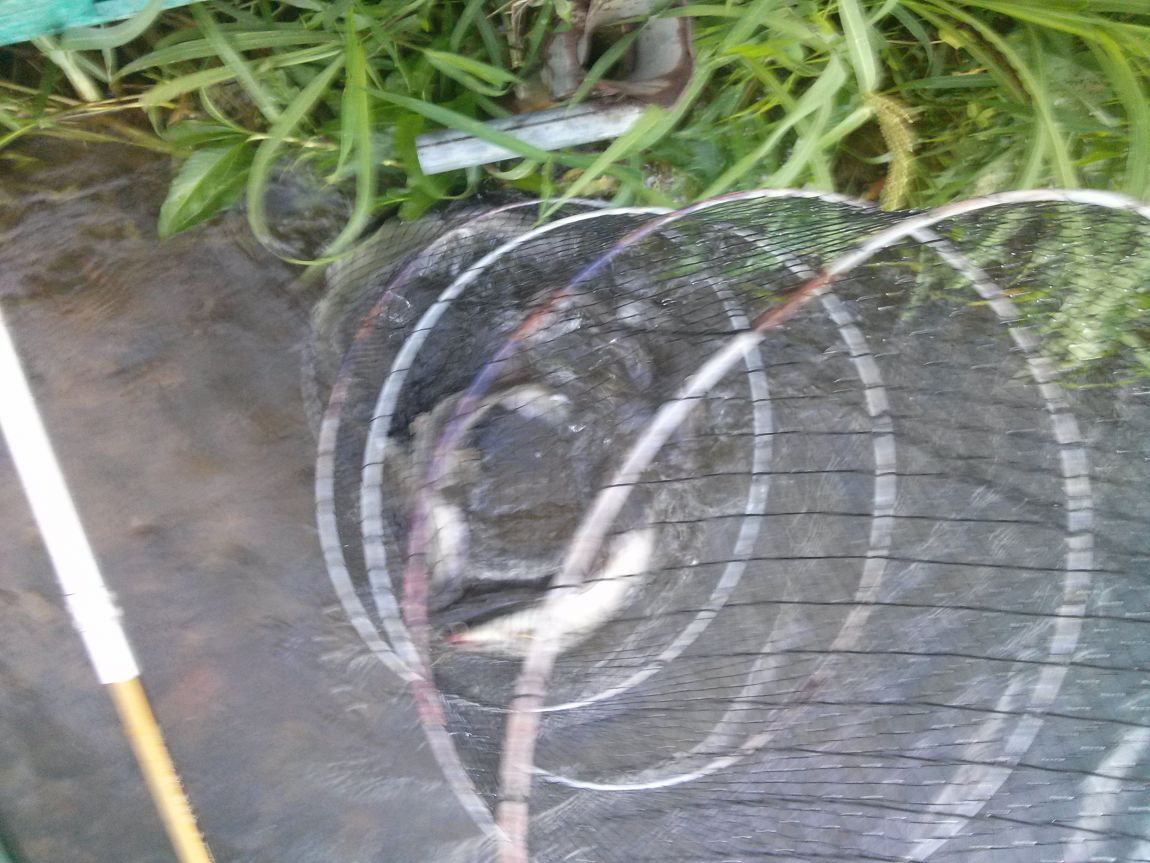 CAM02476.jpg
