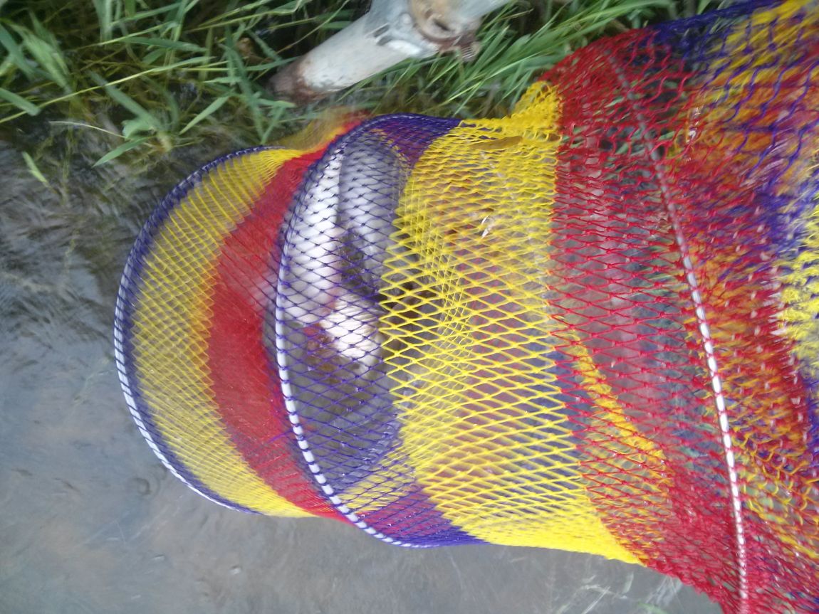 CAM02493.jpg
