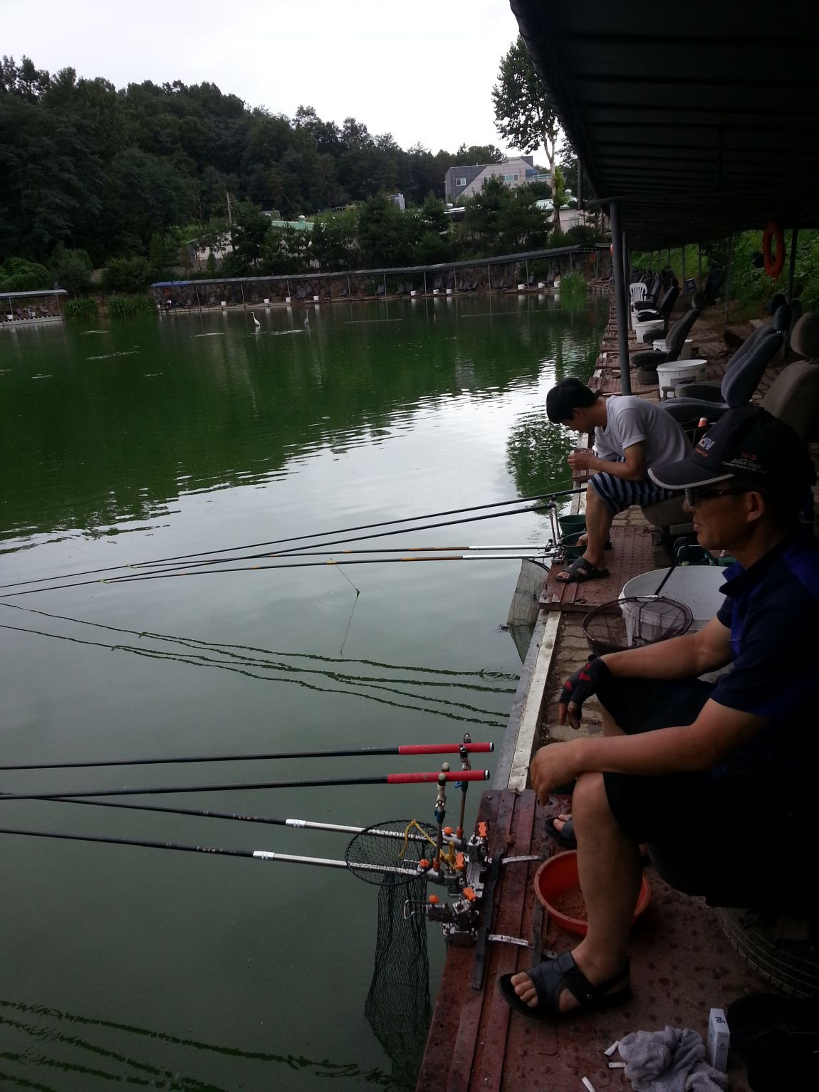 20140803_160251.jpg
