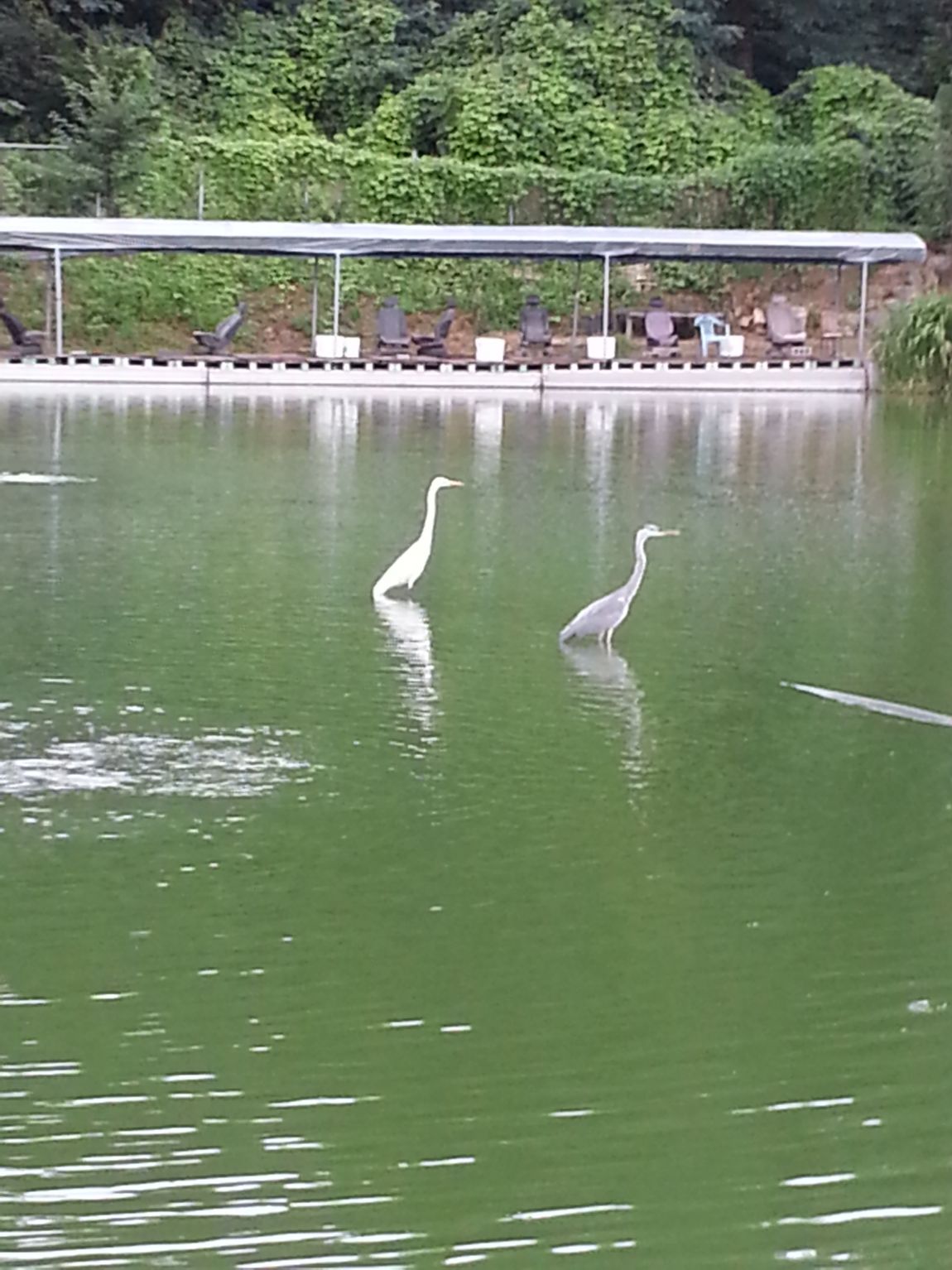20140803_160338.jpg