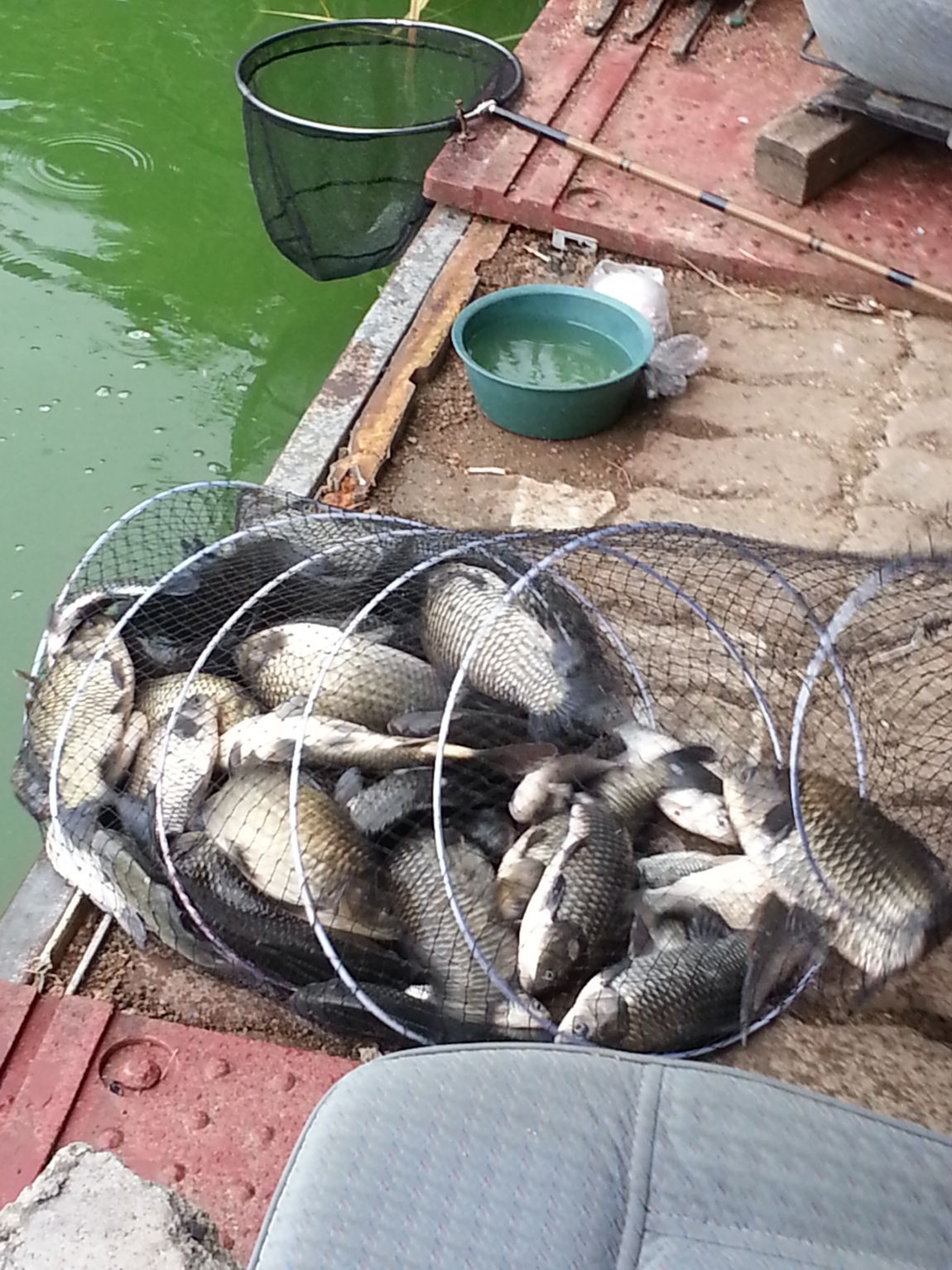 20140803_160607.jpg