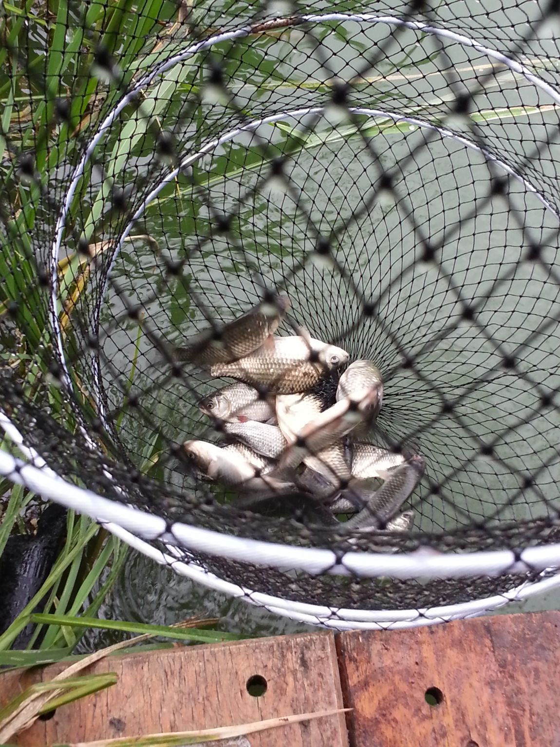 20140803_160943.jpg