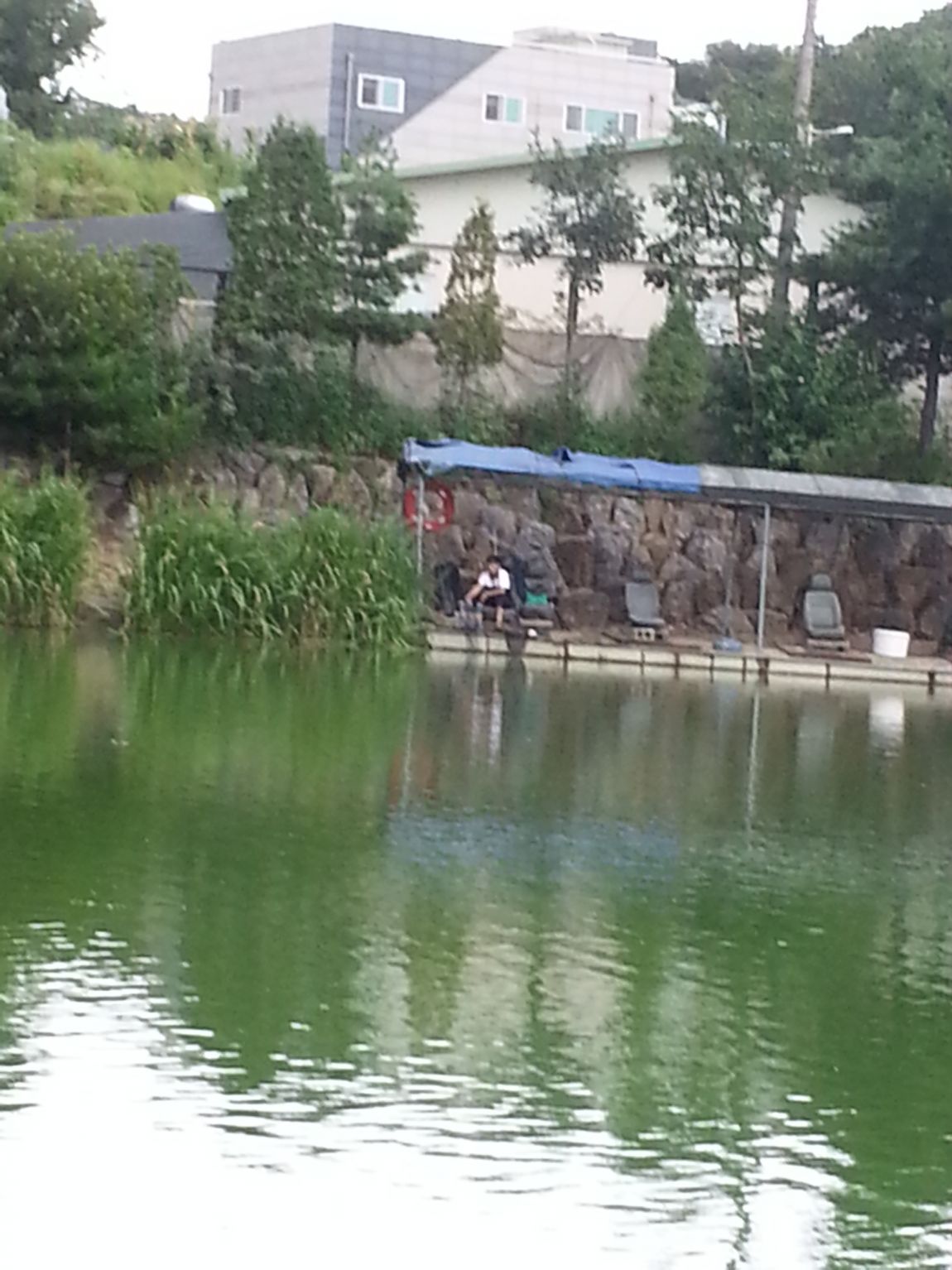 20140803_161829.jpg
