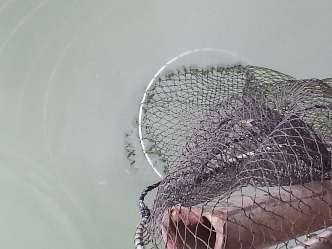 20140803_162120.jpg
