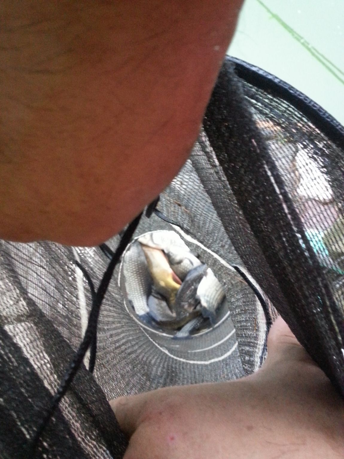 20140804_060311.jpg