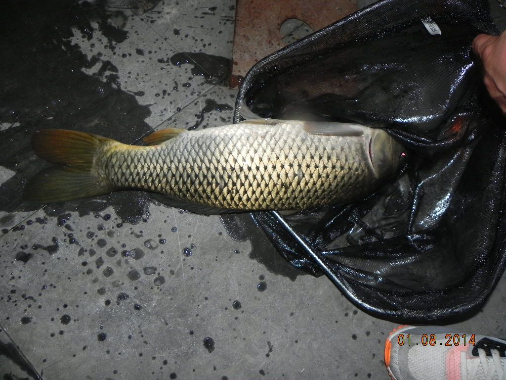 DSCN7781.JPG