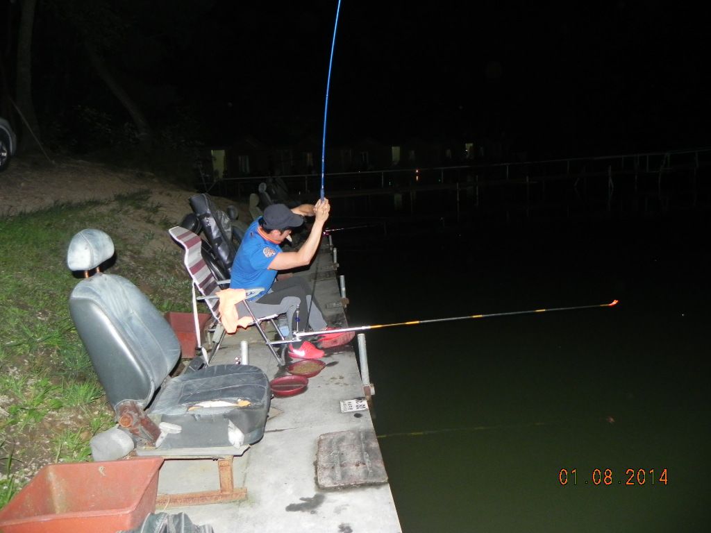 DSCN7784.JPG