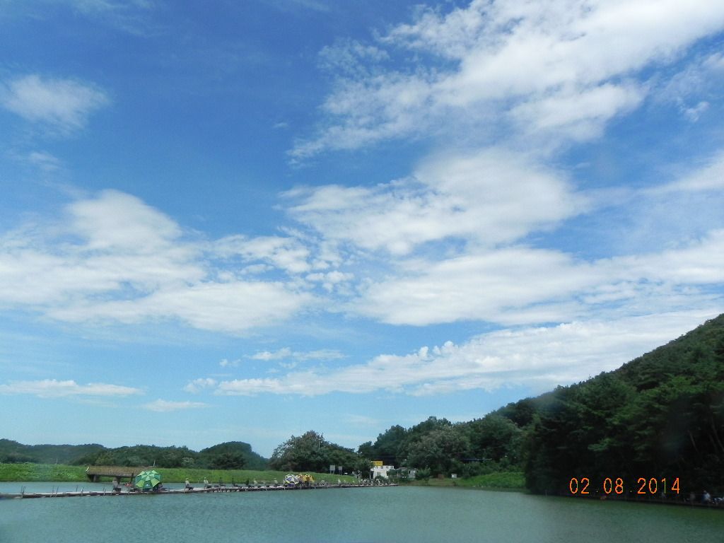 DSCN7800.JPG