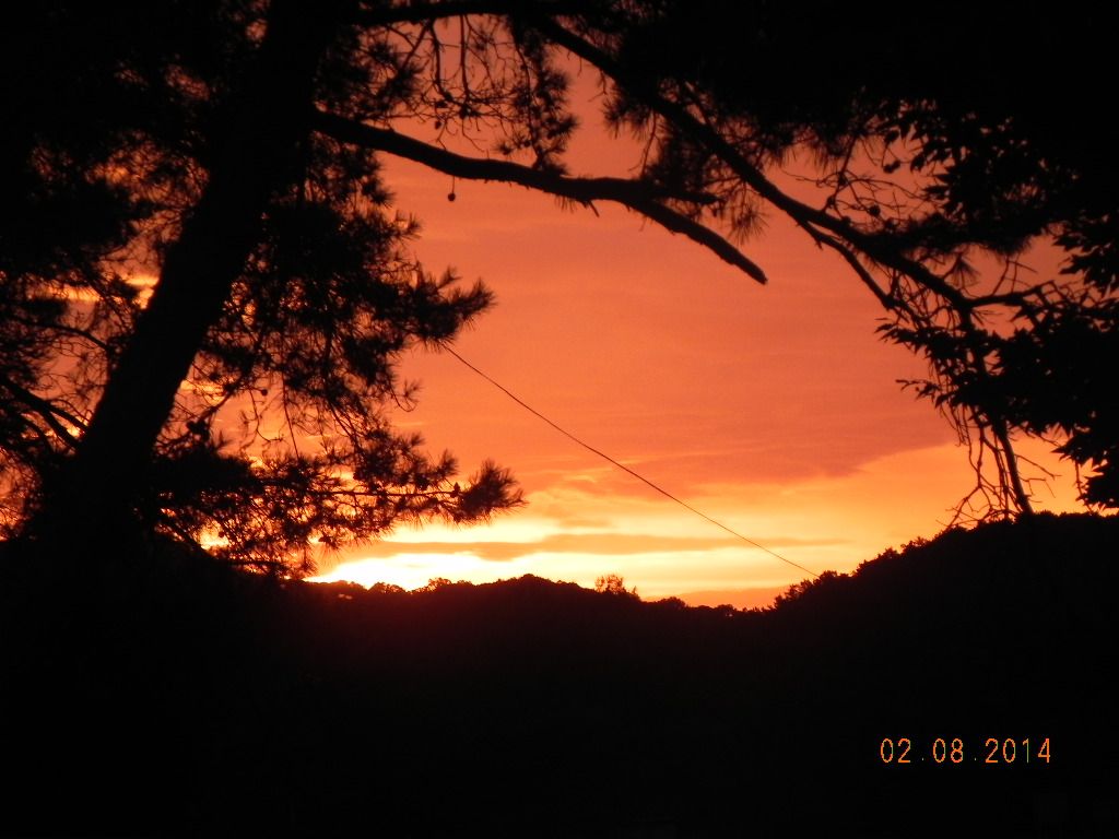 DSCN7805.JPG