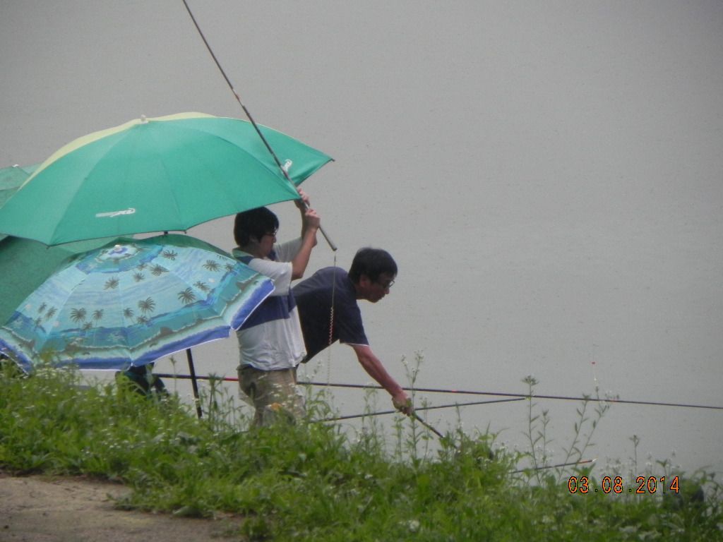 DSCN7808.JPG